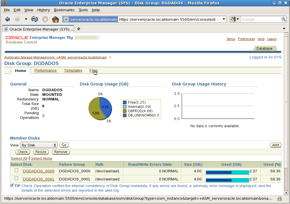 Enterprise Manager visualizando os Discos de um Disco de Grupo no ambiente de Banco de Dados