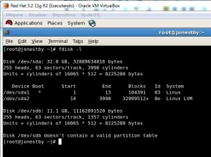 Img131 300x223 Como adicionar novos discos SATA, via Oracle VirtualBox em seu ambiente Linux virtualizado ja existente.