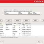 il10 150x150 Implementando Oracle Database 11gR2 RAC on Virtualbox em Linux com ISCSI   P1