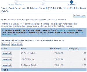 000 300x246 Instalando Oracle Database Firewall 12.1.2.2.0